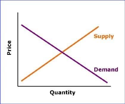 Role of Business Economics