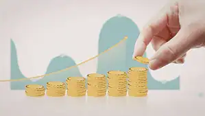 Value Added Services Examples