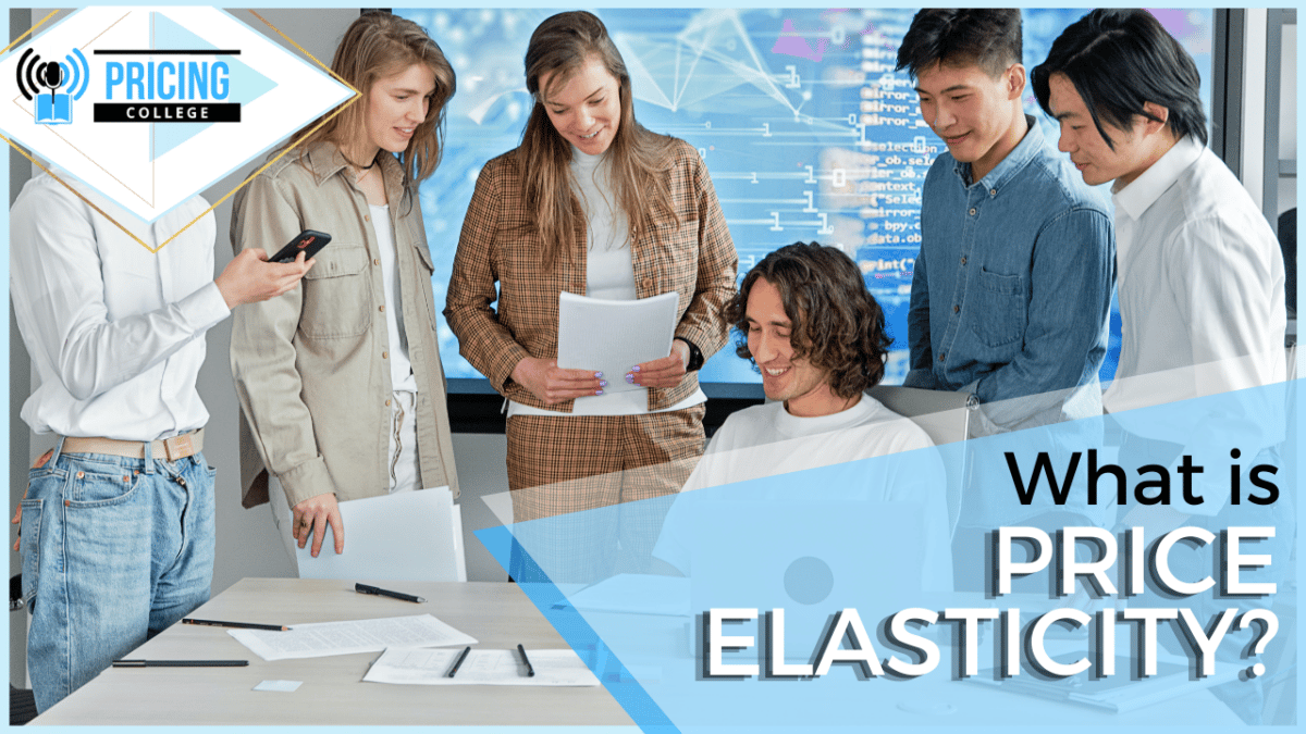 What is price elasticity?