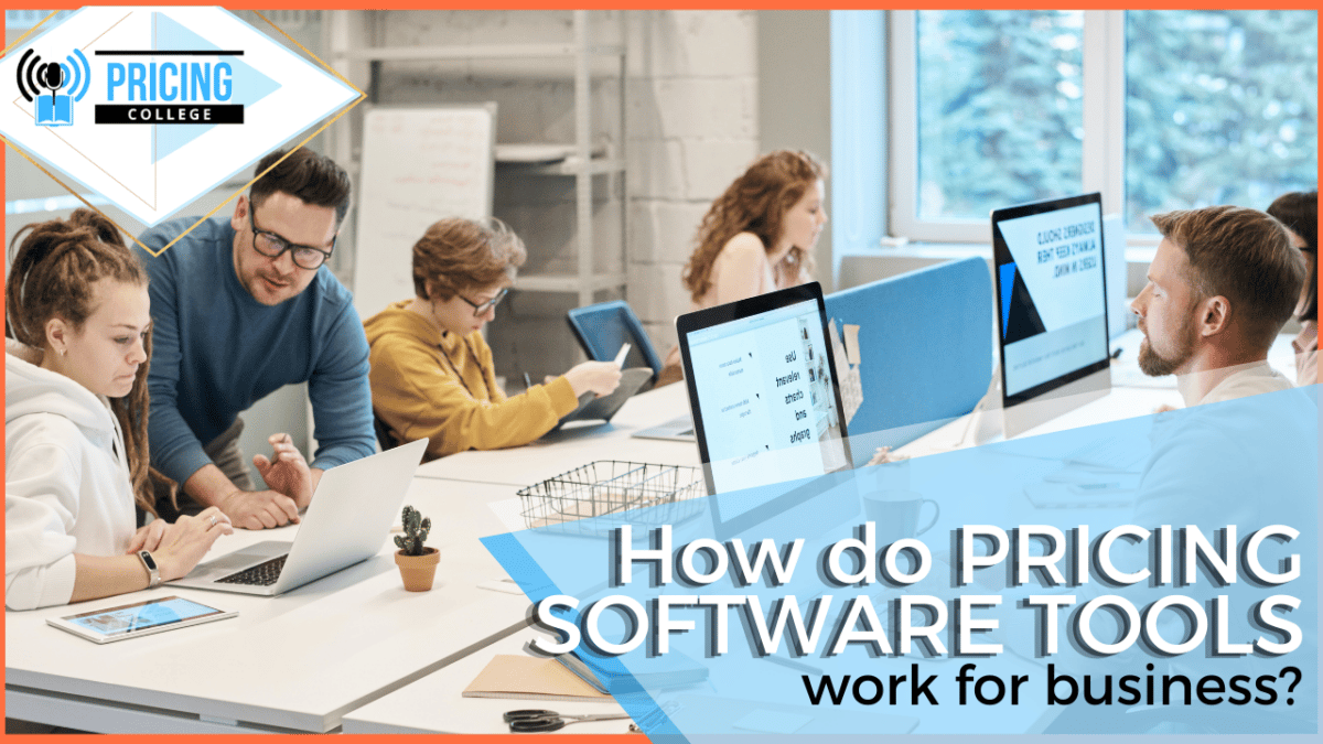 How do pricing software tools work for business?