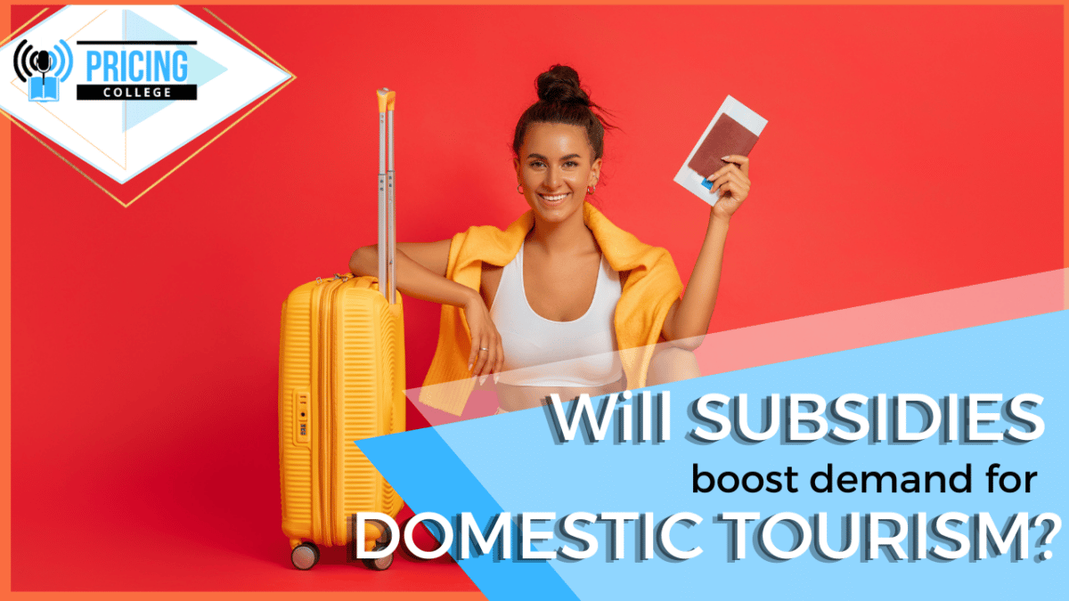 Will subsidies boost demand for domestic tourism?