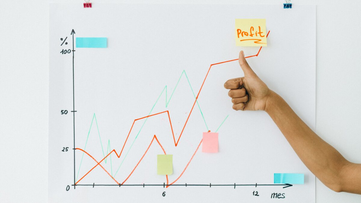 Profitability-influencing risk categories (PIRC) and issues