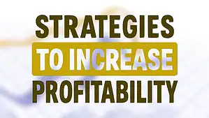 strategies to increase profitability